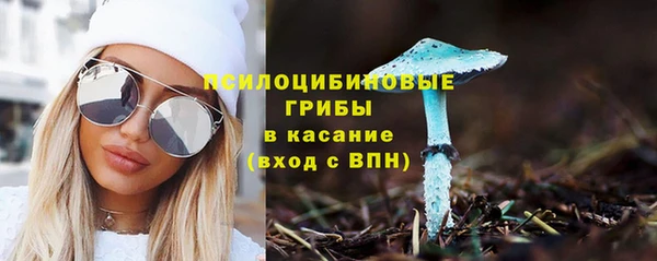 ешки Зерноград