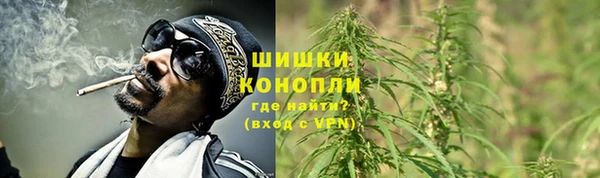 крисы Зеленокумск