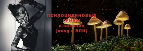 ешки Зерноград