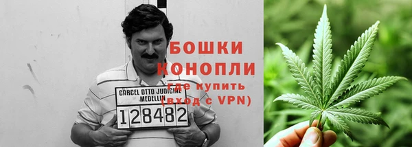 стаф Зеленодольск