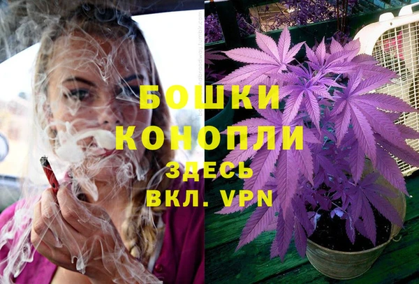 крисы Зеленокумск