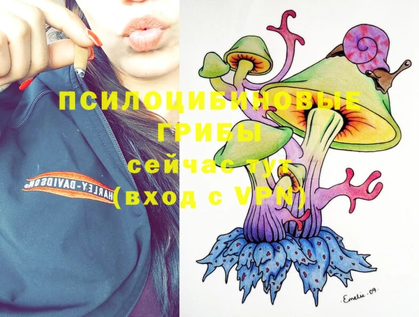 крисы Зеленокумск
