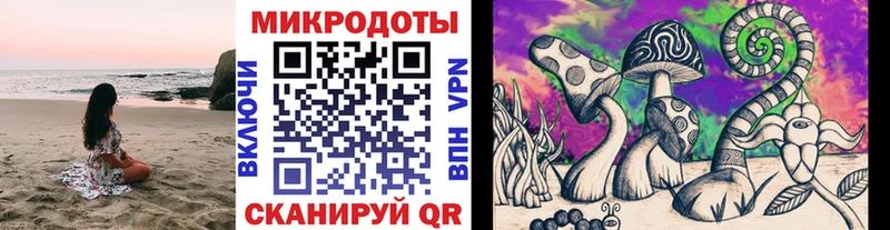 Галлюциногенные грибы Cubensis  Купить  Барыш 